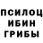 Галлюциногенные грибы мухоморы Diogo Petito