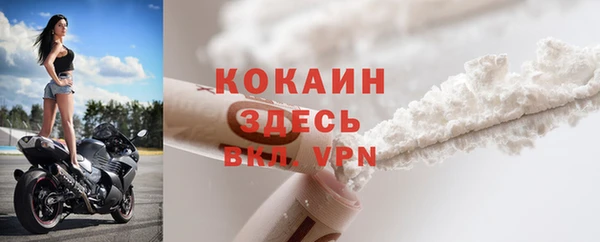 спайс Каменка