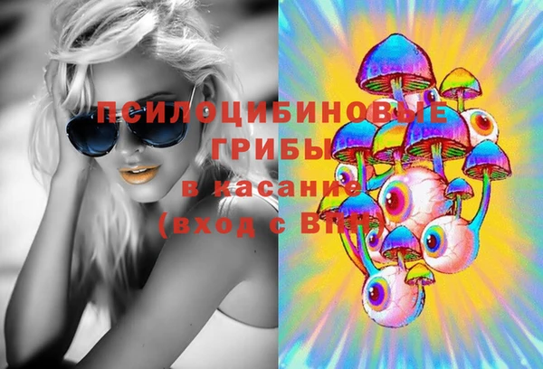 a pvp Каменногорск