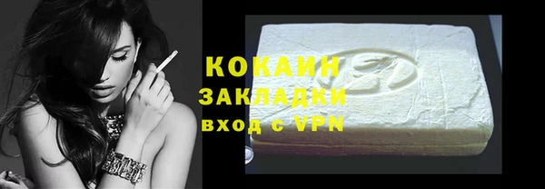 индика Приозерск