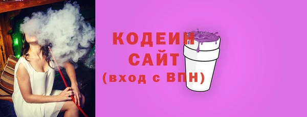 спайс Каменка