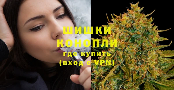 a pvp Каменногорск