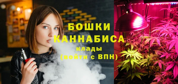 спайс Каменка