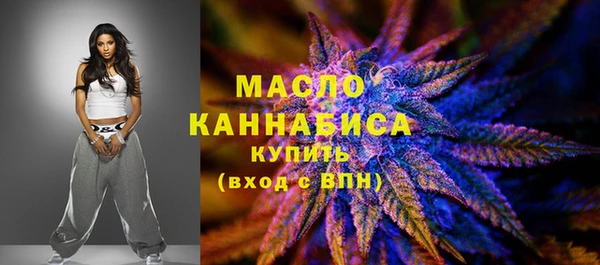 спайс Каменка
