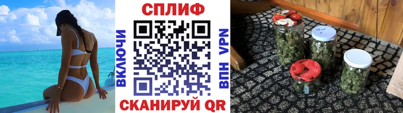 Конопля конопля  Купить где  Буй 